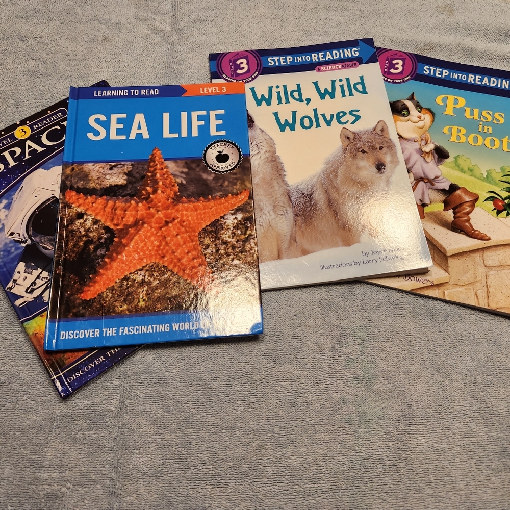 Four Step into Reading Step 3